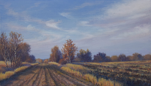 Range Road North by Judy Leila Schafers