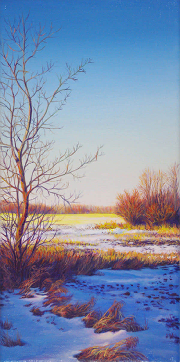 Wind In The Willows by Judy Leila Schafers