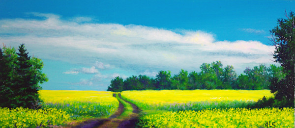Beekeeper's Road by Judy Leila Schafers