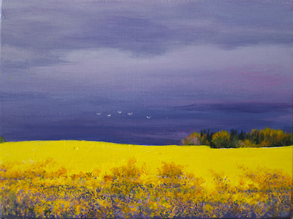 Summer  Perspectives by Judy Leila Schafers, Image 1.