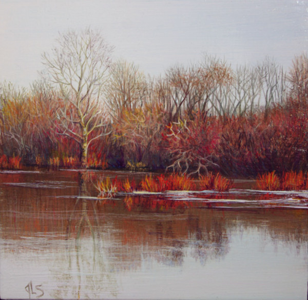On Thin Ice by Judy Leila Schafers
