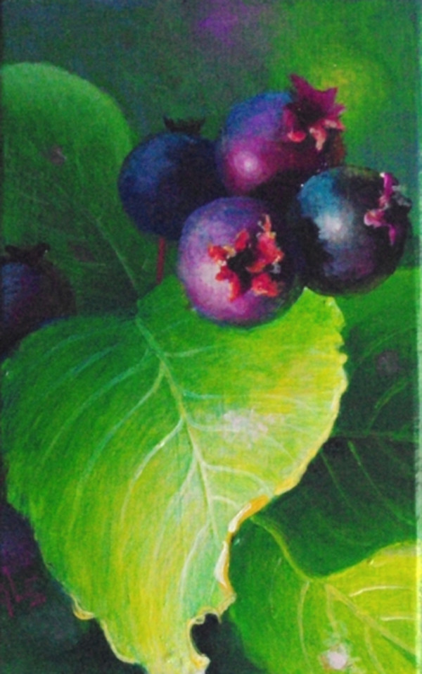 Juicy by Judy Leila Schafers