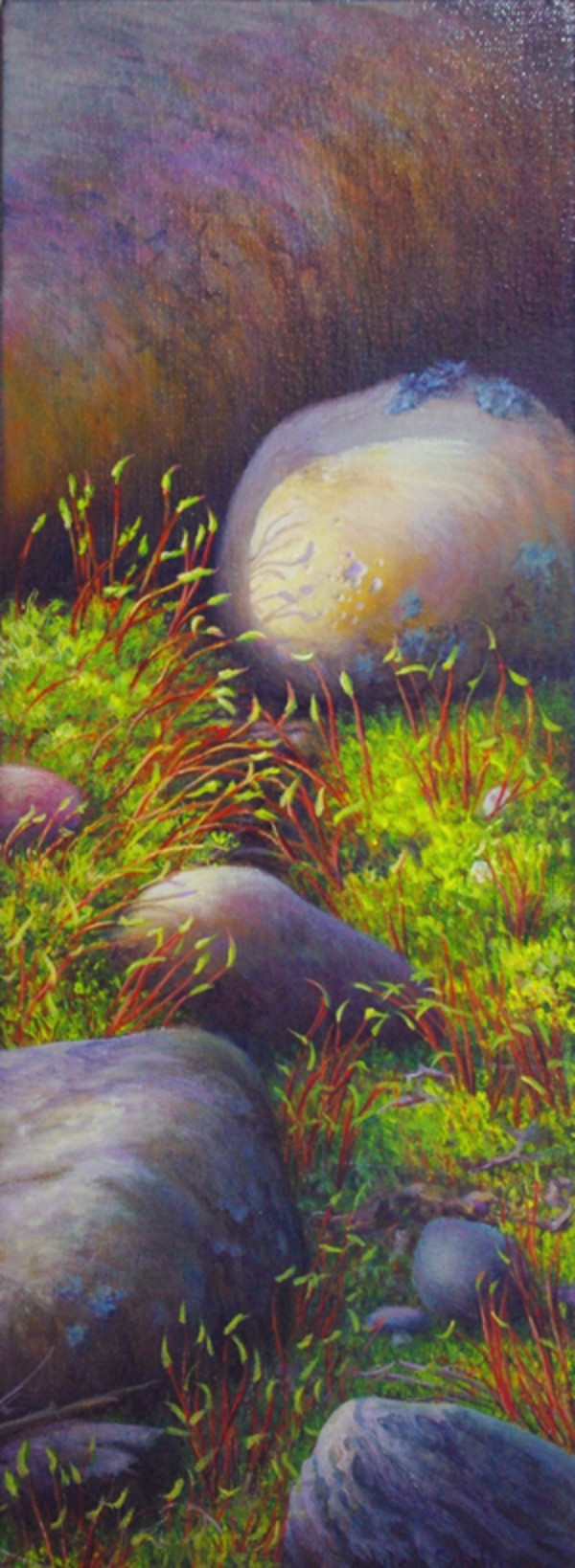 Loving The Light by Judy Leila Schafers