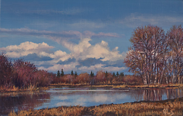 Snowmelt Pond by Judy Leila Schafers