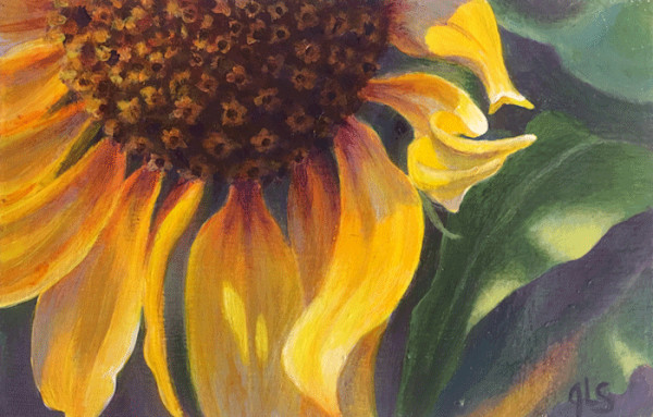 A Little Sunshine by Judy Leila Schafers