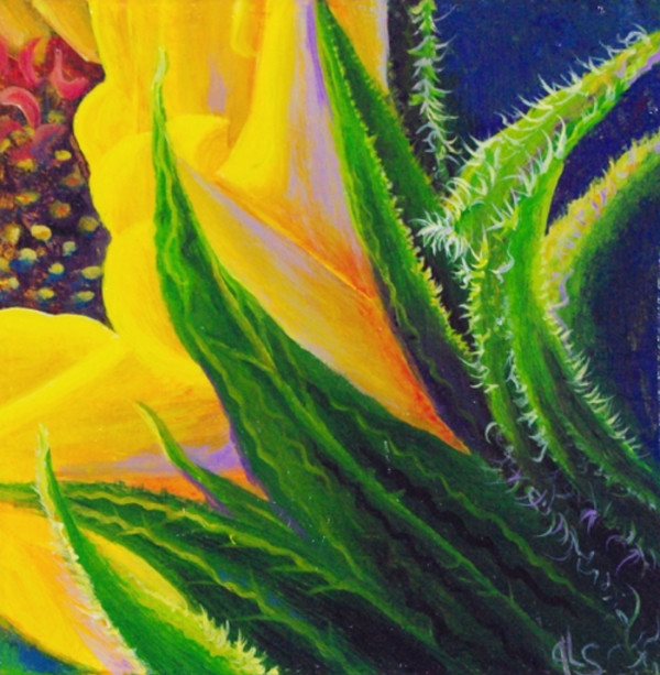 Follow the Sun by Judy Leila Schafers