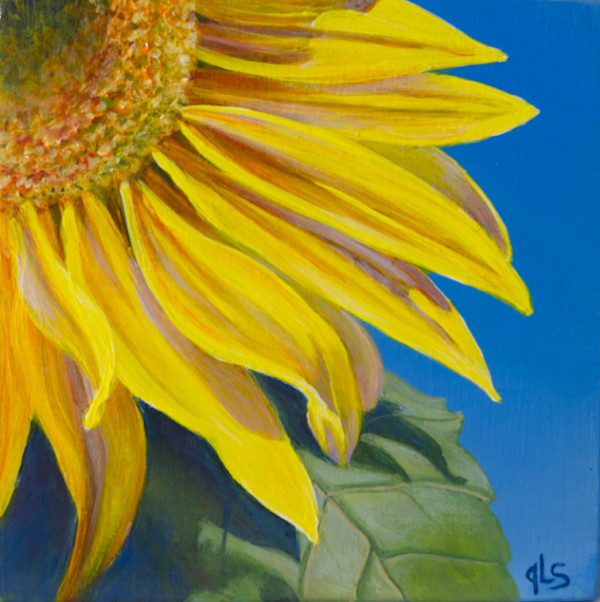 Summer Joy by Judy Leila Schafers