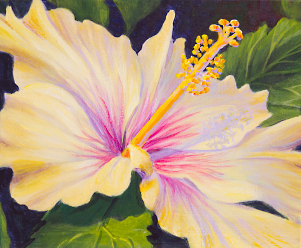 Afternoon Glow by Judy Leila Schafers, Image 1.