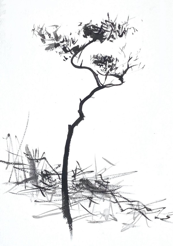 Tree Study 15/2/24 by Lisa Fenton O'Brien