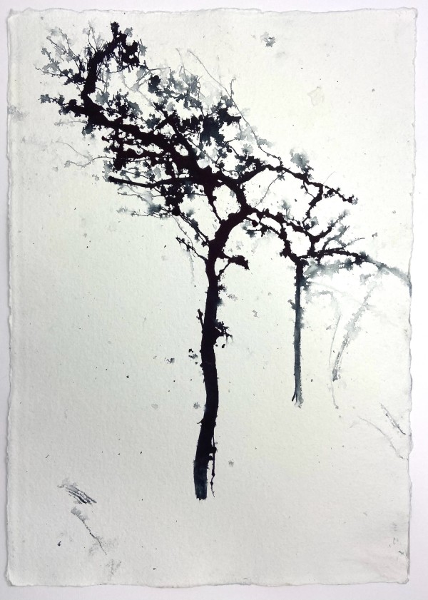 Raintrees February 2024 by Lisa Fenton O'Brien