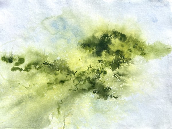 Sphagnum Rainfall April 10th by Lisa Fenton O'Brien