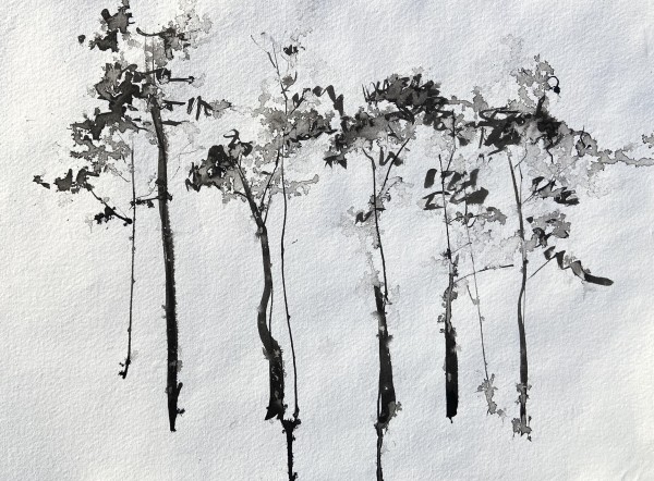 Raintrees by Lisa Fenton O'Brien