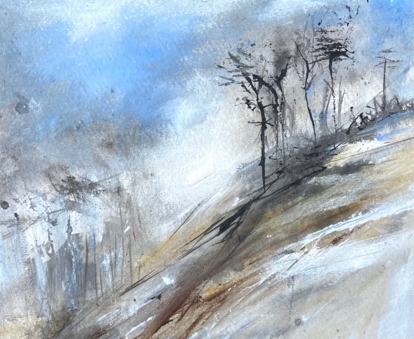 Highland Frost, February 2024 by Lisa Fenton O'Brien