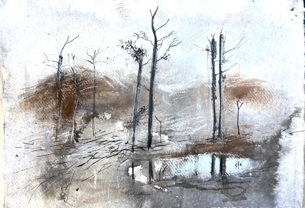 Trees at the Balgy by Lisa Fenton O'Brien