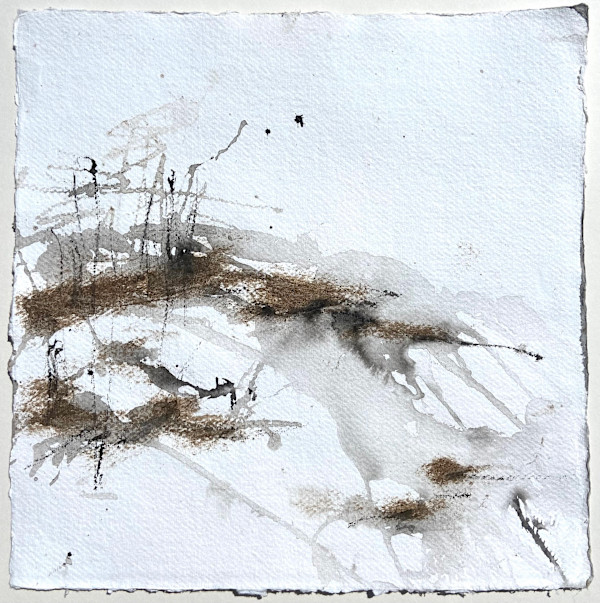 Forest, rain, peat and ice I by Lisa Fenton O'Brien