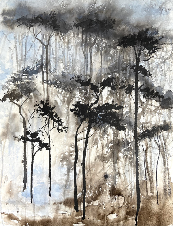 Temperate by Lisa Fenton O'Brien