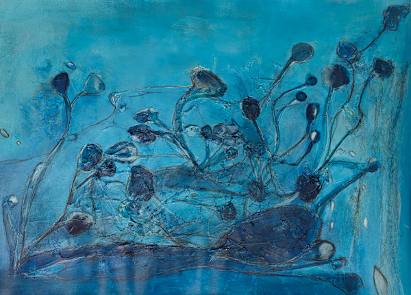 Garden of Pods by Anja Bamberg, Image 1.