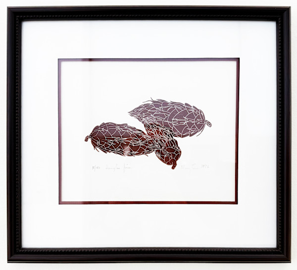 Douglas Fir by Henry Evans