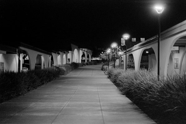 NightHawks by Salvador Siegel