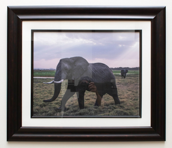Massi Mara Nationak Park, Kenya – Elephants by Susan Lewis