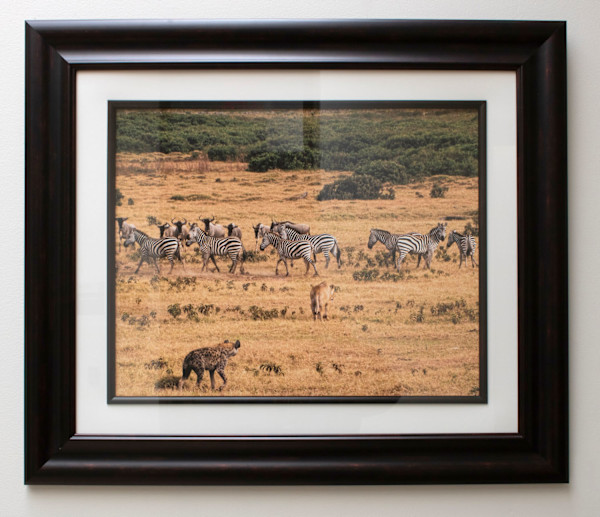 Massi Mara Nationak Park, Kenya – Mixed Animals by Susan Lewis
