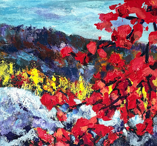 Scarlet Show-Off by Ilse Nel-Landers