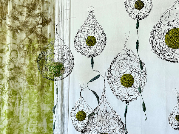 Emerging by Julie Anderson Bailey