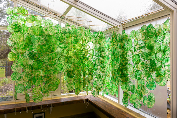 Biology Rising by Julie Anderson Bailey