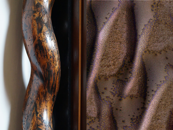 elegies to a dissolving world #3 #8 by Lou Liska