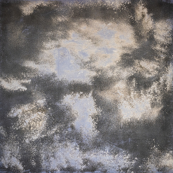 Characol by Peter Studl