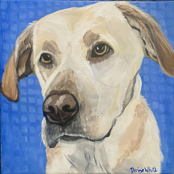 Sonny by Denise Epperson White