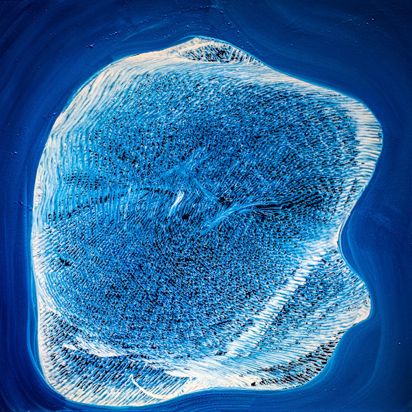 Interior Mass by Ritu Raj