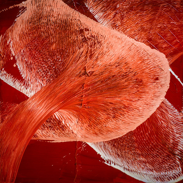 Crimson Vortex of Motion by Ritu Raj
