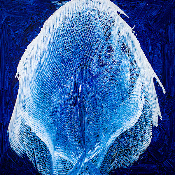 Echoes of Aquatic Grace by Ritu Raj