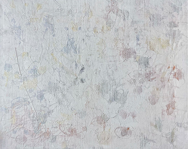 Fabric Over Stars by Ritu Raj