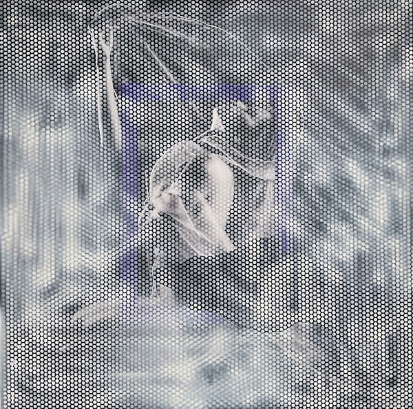 Haze by Ritu Raj