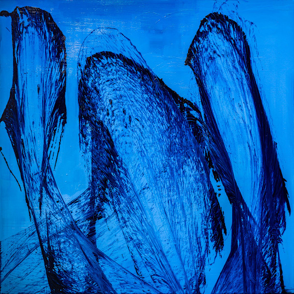 Midnight Feather Dance by Ritu Raj