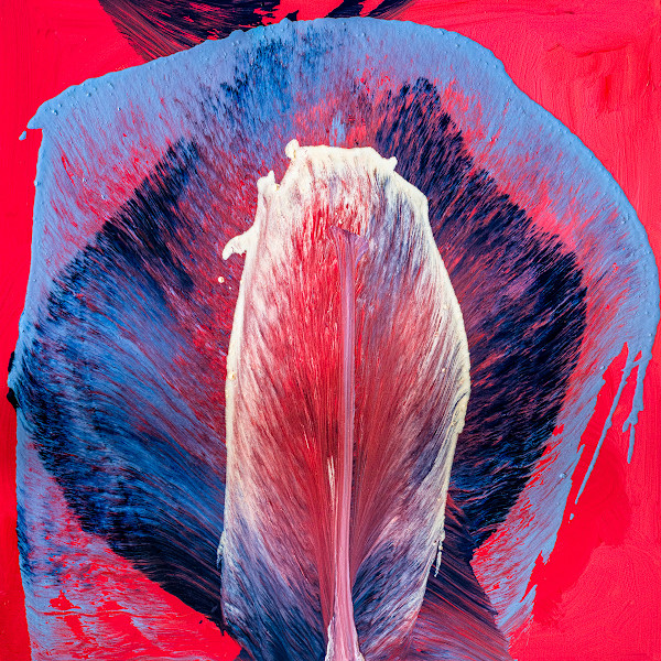 Radiant Feather on a Red Horizon by Ritu Raj