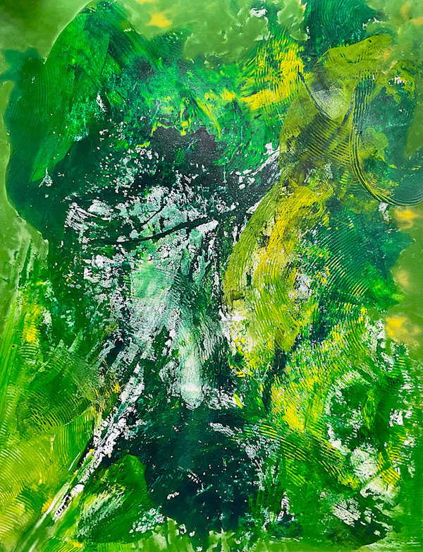 Rain Forest by Ritu Raj