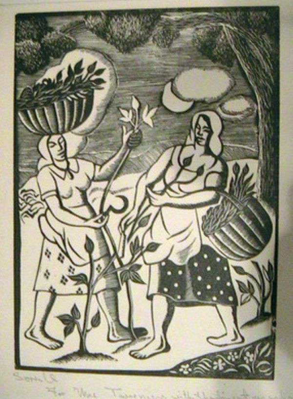 Sorrel by Albert Huie
