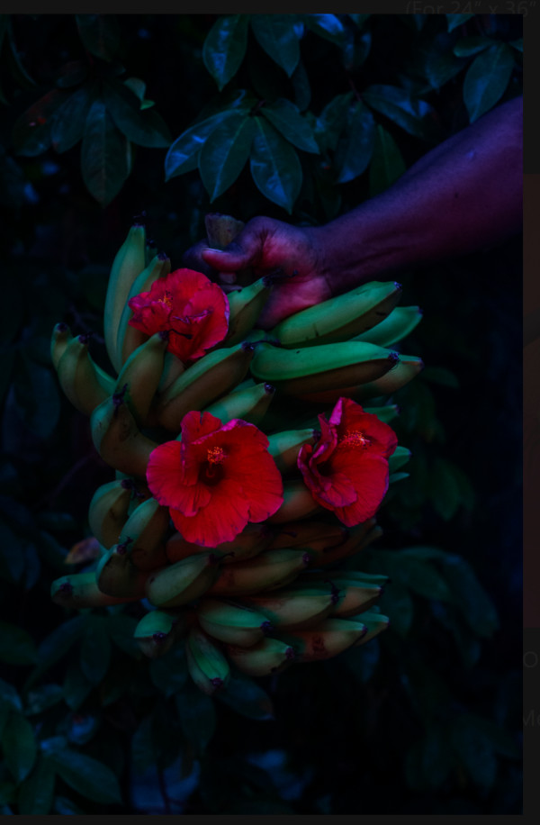 Fruits of Our Mother’s Labor #3 by Cornelius Tulloch