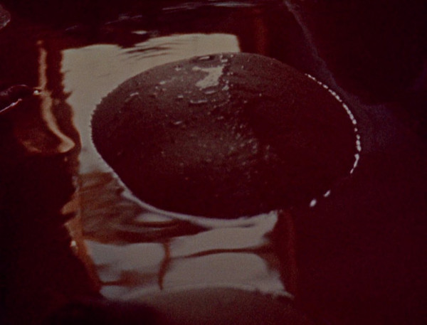 Window Water Baby Moving by Stan Brakhage