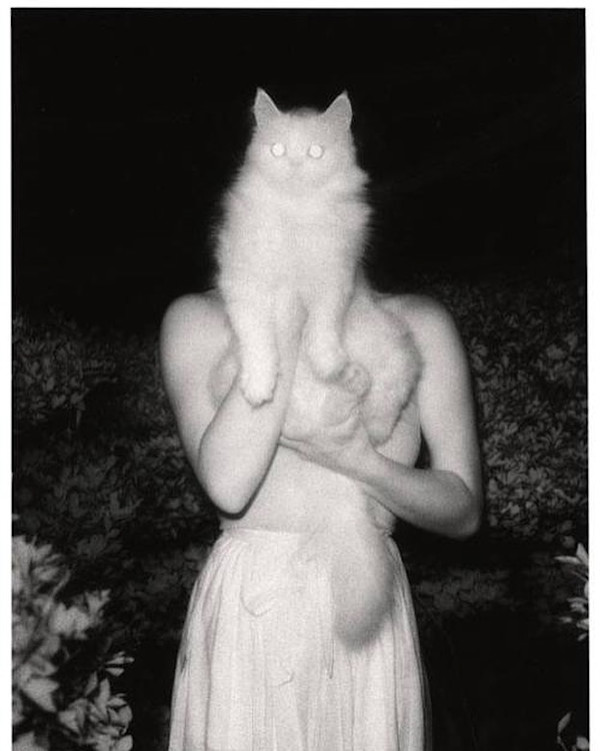 Once Upon a White Night by Masaaki Miyazawa