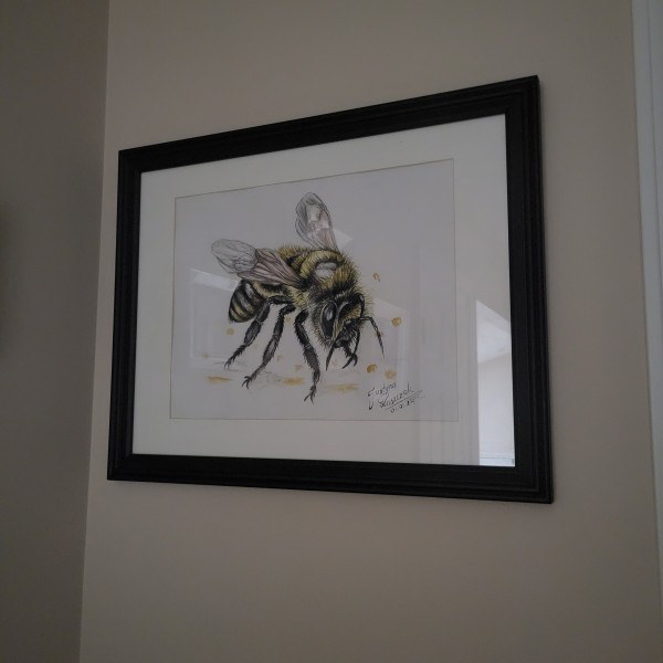 Bee by Justyna Luszczek