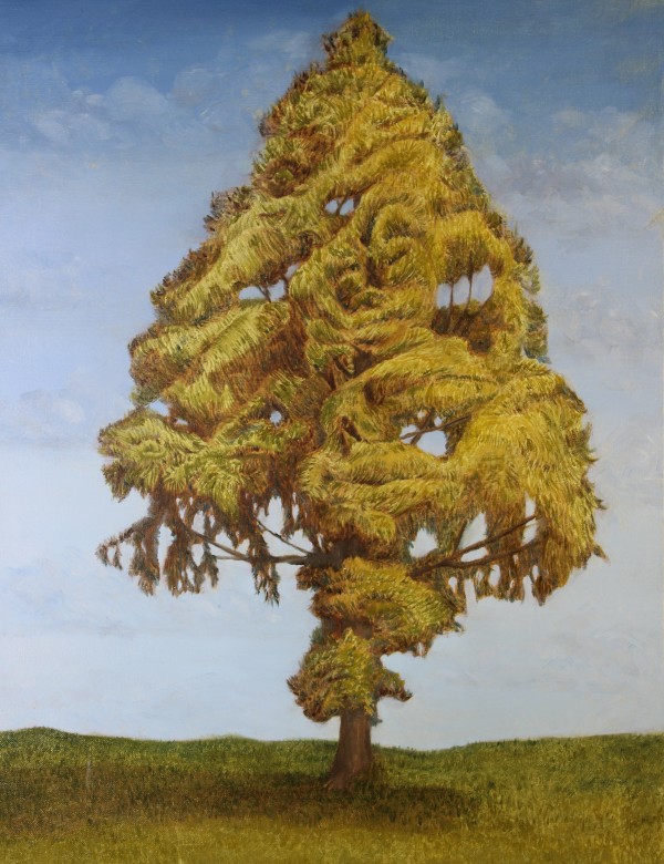 Dawn Redwood by James Parker