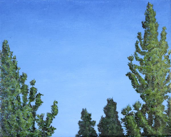 Four Lodgepole Pines by James Parker