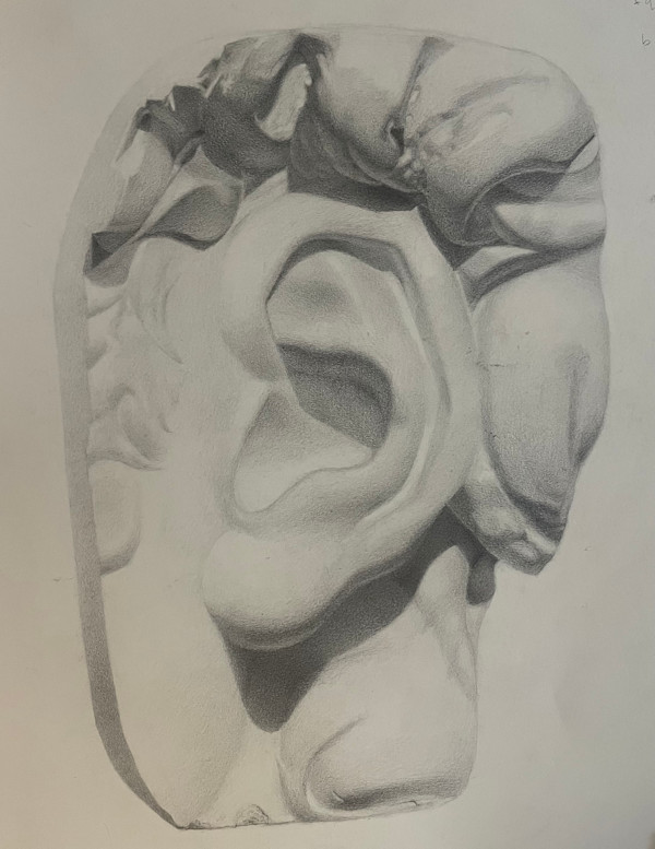 Michelangelo's David - Cast Study by James Parker