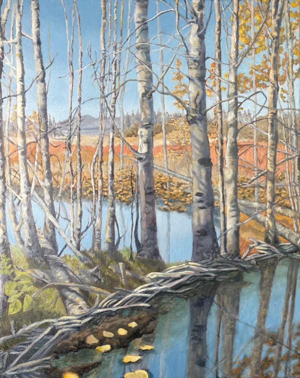 Aspens - Beaver Dam by James Parker
