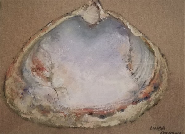 Shell by Linda Coulter