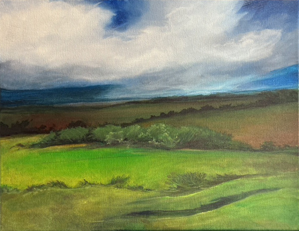 Prairie by Valerie Hodgson